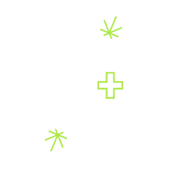 21 plus