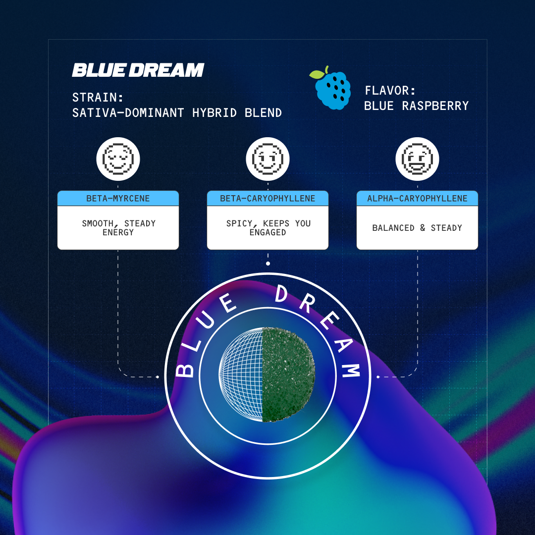 Blue Dream strain infographic listing terpenes beta-myrcene, beta-caryophyllene, alpha-caryophyllene; flavor: Blue Raspberry