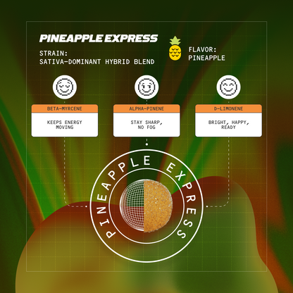 Terpenes in Pineapple Express Fast-Acting 15mg THC Gummies