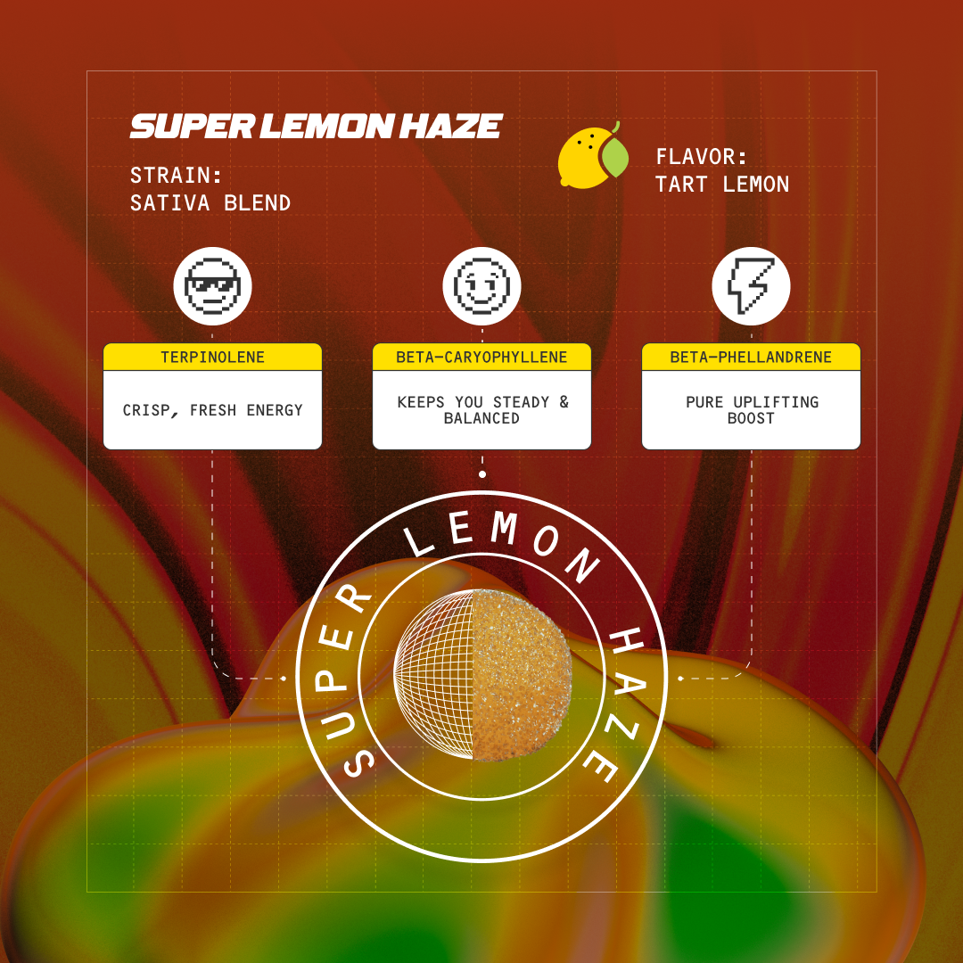 Super Lemon Haze strain information: Strain: Sativa Blend. Flavor: Tart Lemon. Terpenes: Terpinolene - Crisp, fresh energy; Beta-Caryophyllene - Keeps you steady & balanced; Beta-Phellandrene - Pure uplifting boost. Central graphic with text 'Super Lemon Haze'.