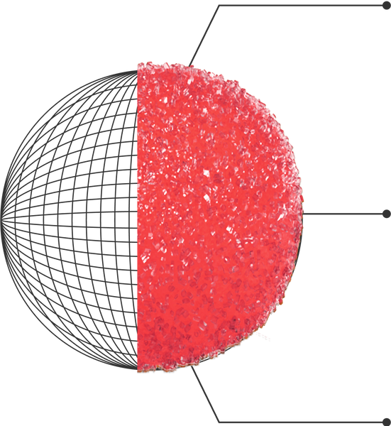 Hemisphere split vertically: left half black mesh grid, right half red crystalline granular surface with three callout lines.